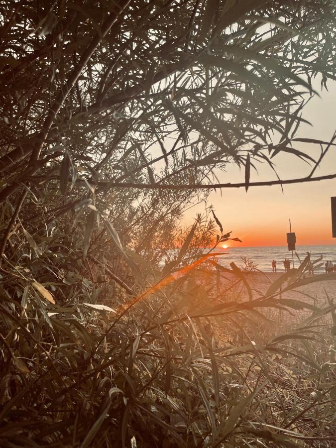 Baltico Domki Letniskowe Sarbinowo Dış mekan fotoğraf